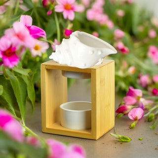 Brûle parfum coquillages