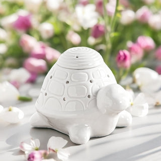 Brûle parfum tortue